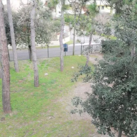 Erica * Бібіоне